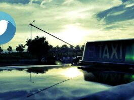 Reflexiones desde el volante – Sofía Reflexiones desde el volante - Sofía