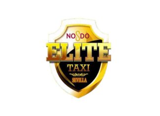 Rechazo al borrador de los VTC en Sevilla Rechazo al borrador de los VTC en Sevilla