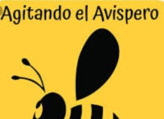 Agitando el Avispero – por Tito Project