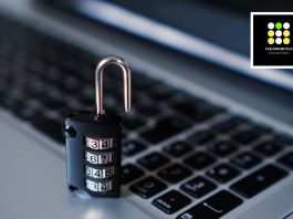 Reflexiones desde el volante – El poder de la bestia, el big data